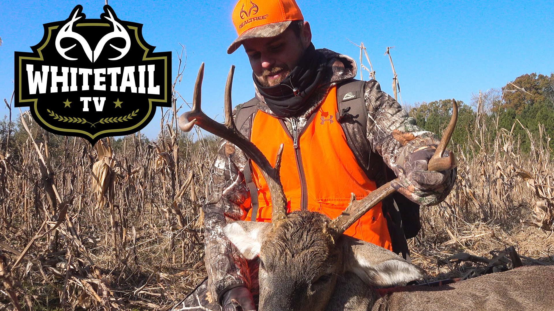 Tennessee Is on Fire