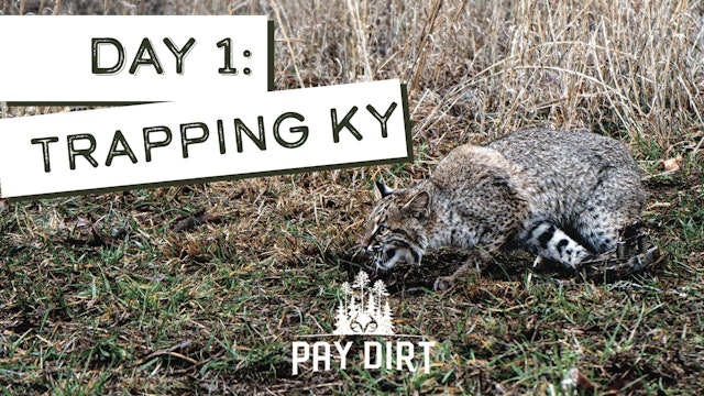 Trapping Predators in Kentucky | Angry Bobcat in the Trap | PayDirt