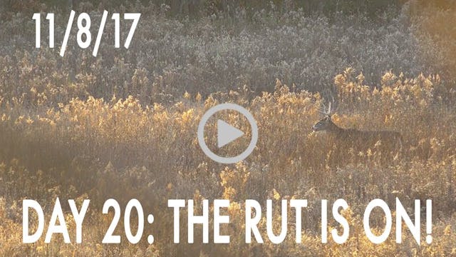 Winke Day 20: The Rut Is On