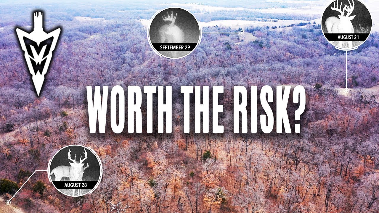 4-8-19: High Risk Stands, Pruning Apple Trees | Midwest Whitetail