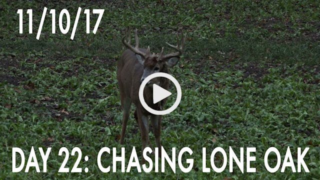 Winke Day 22: No Hot Does