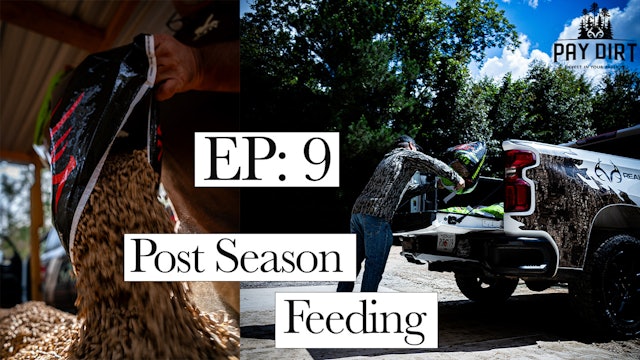 Post-Season Feeding | Off-Season Deer Management Tips and Tactics | PayDirt