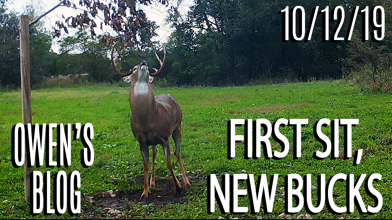 Owen's Blog : First Sit, New Bucks