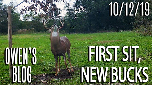 Owen's Blog : First Sit, New Bucks