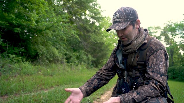 Advanced Turkey Calling Tactics | Phi...