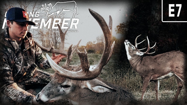 October Mornings and Giant Bucks | Focusing on Cold Fronts | Chasing November