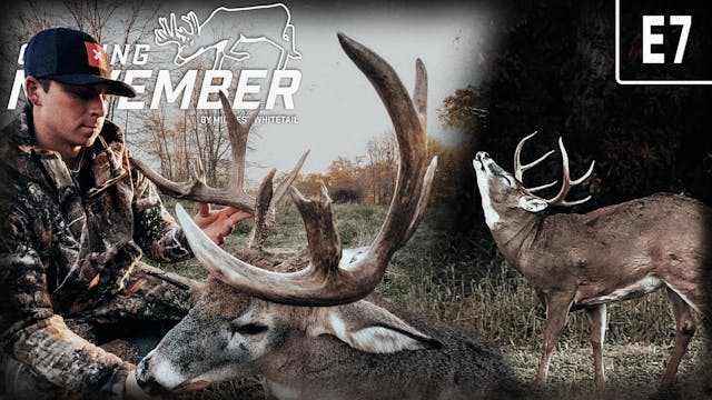 October Mornings and Giant Bucks | Fo...