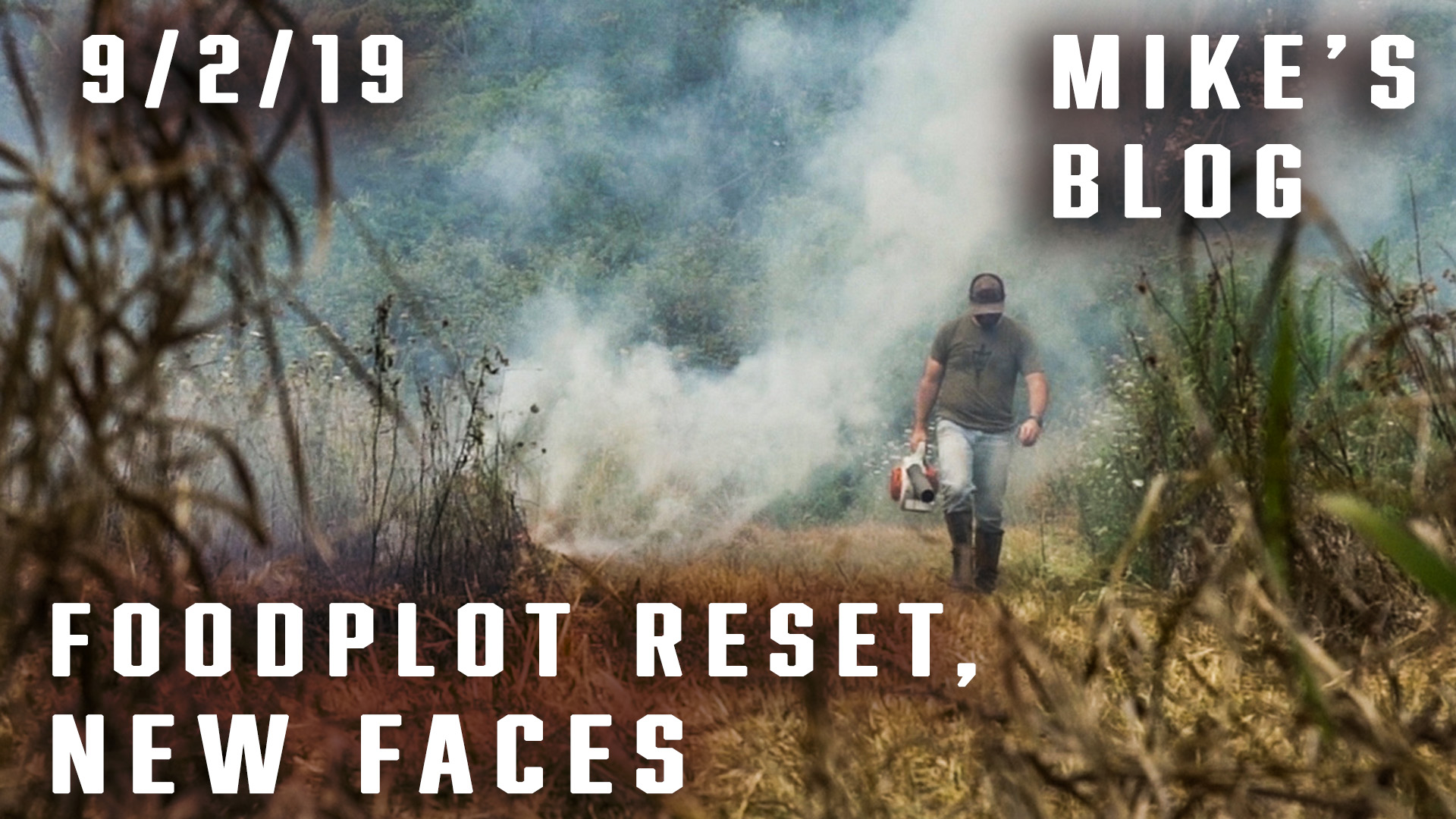 Mike's Blog: Food Plot Reset, New Faces