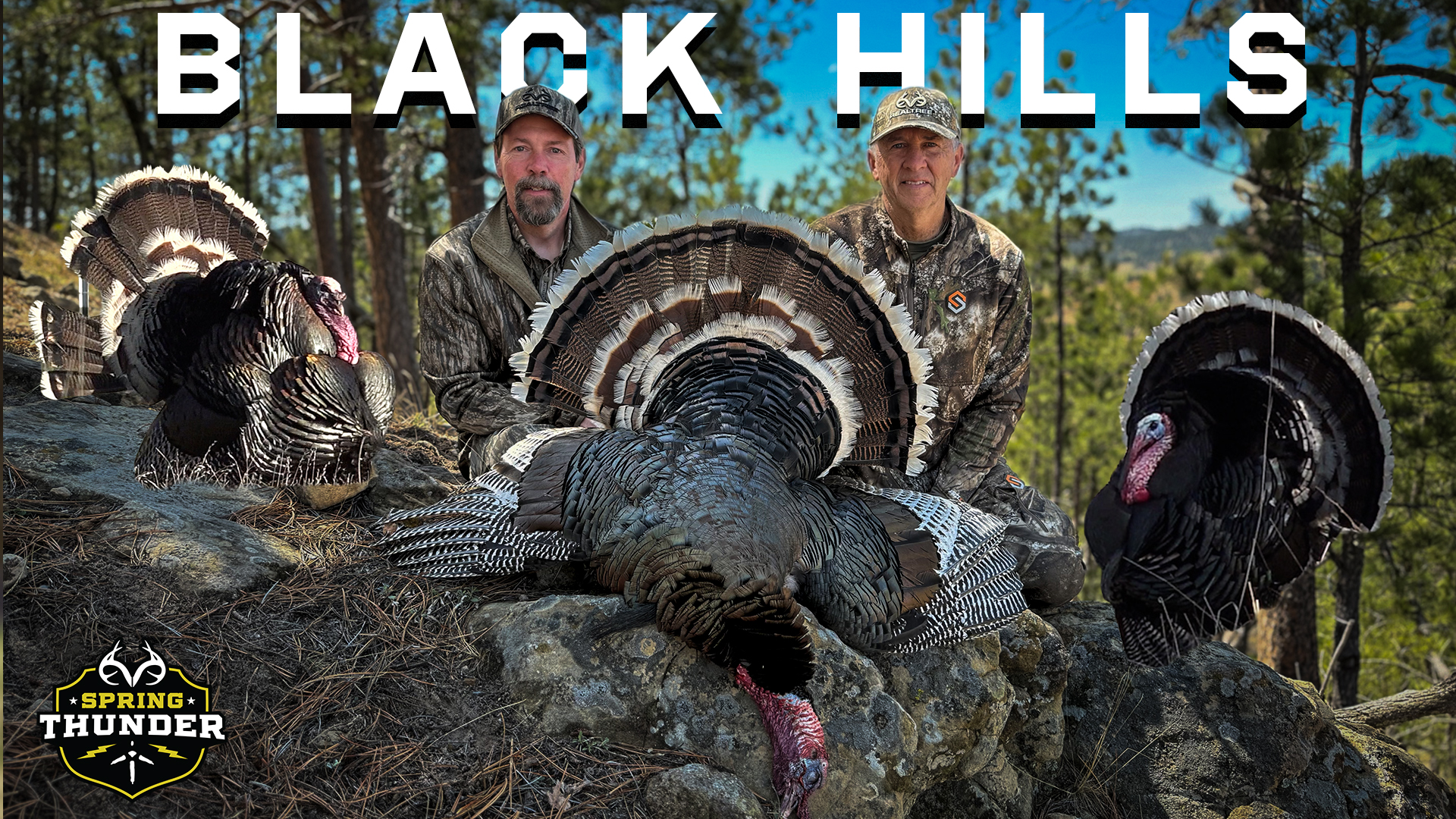 Merriam’s Turkey Madness in Wyoming & Montana Public Land