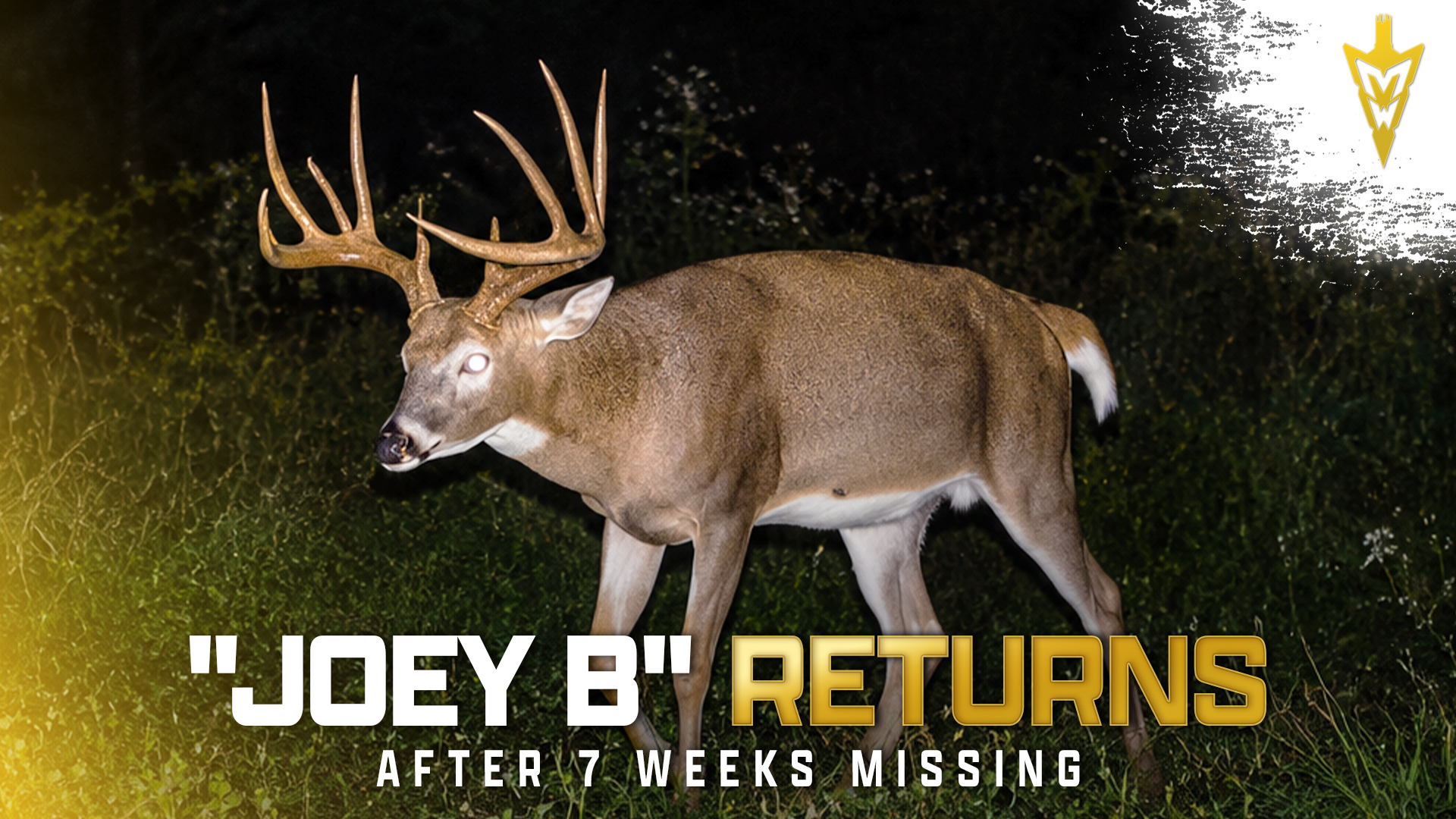 Bow Season Returns, September Buck Success