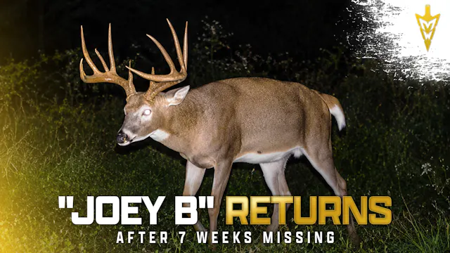 Bow Season Returns, September Buck Su...
