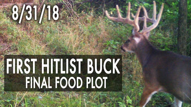Jared's Blog: First Hitlist Buck, Pos...