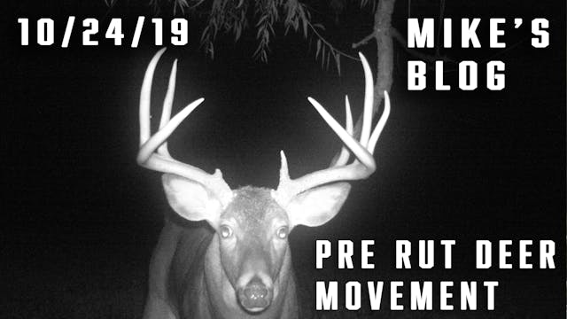 Mike's Blog: Pre Rut Deer Movement