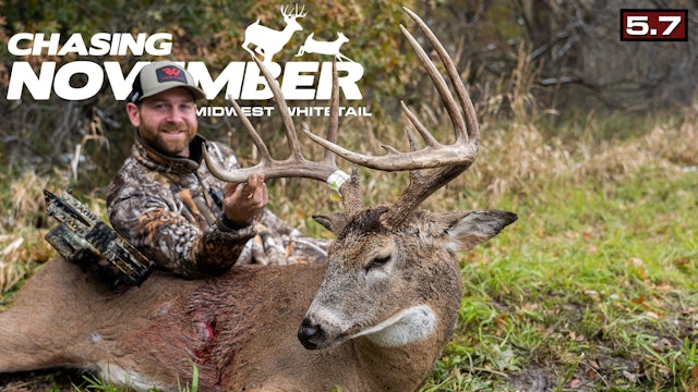S5.E7. A Rut-Crazed Buck | Wisconsin Brute of a Whitetail | Chasing November