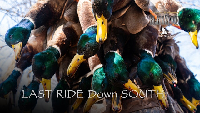 Last Ride: Success Down South with a 6-Man Limit