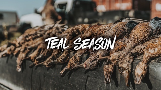Opening Day of Teal Season | Great Missouri Duck Hunting | DayBreak Outdoors