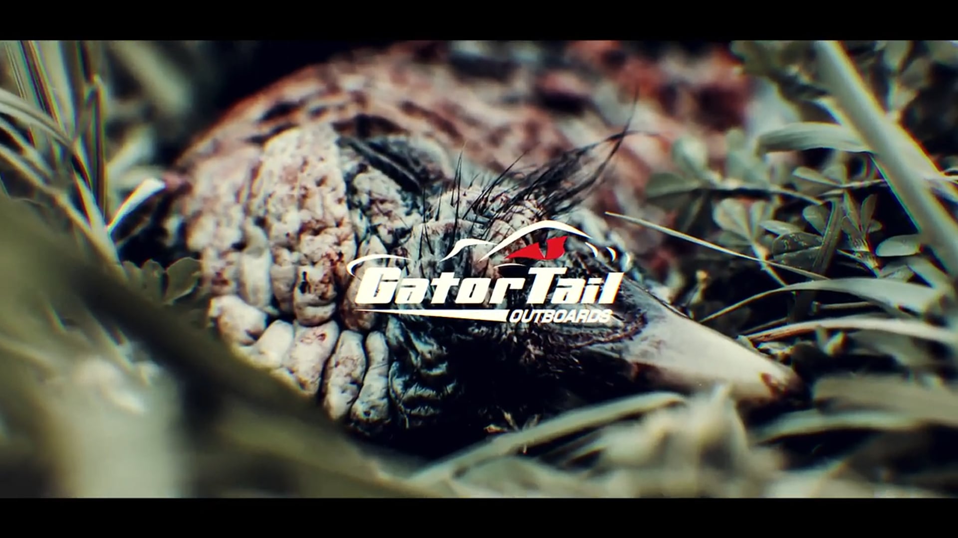 Hard-Headed Alabama Gobblers | Turkey Hunting in the South | DayBreak Outdoors