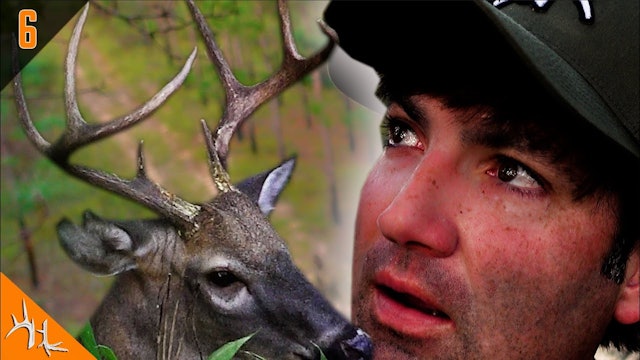 An Unfortunate Hit | Ups and Downs of Deer Hunting | Hunt Club