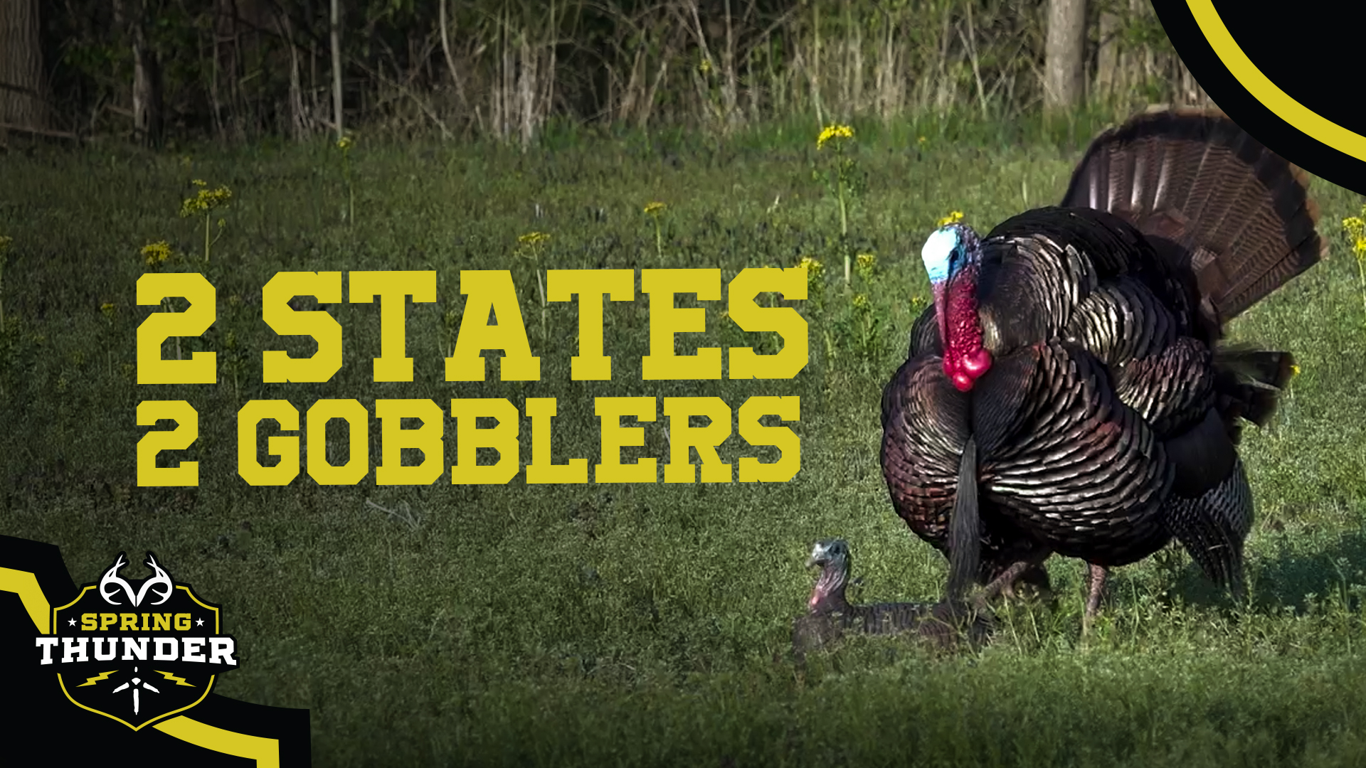 Solo Turkey Hunting in Illinois and Kansas | Spring Thunder