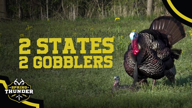 Solo Turkey Hunting in Illinois and Kansas | Spring Thunder