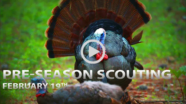 2-19-18: Pre-Season Scouting Tips, Tr...