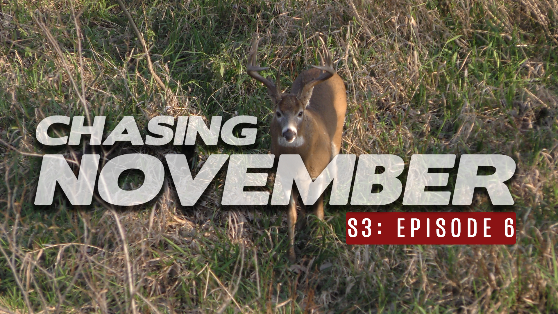 S3E6: Farm Dreams, Indiana Buck