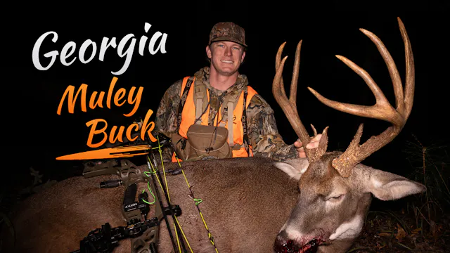 Georgia Giant Buck| Bowhunting Late O...