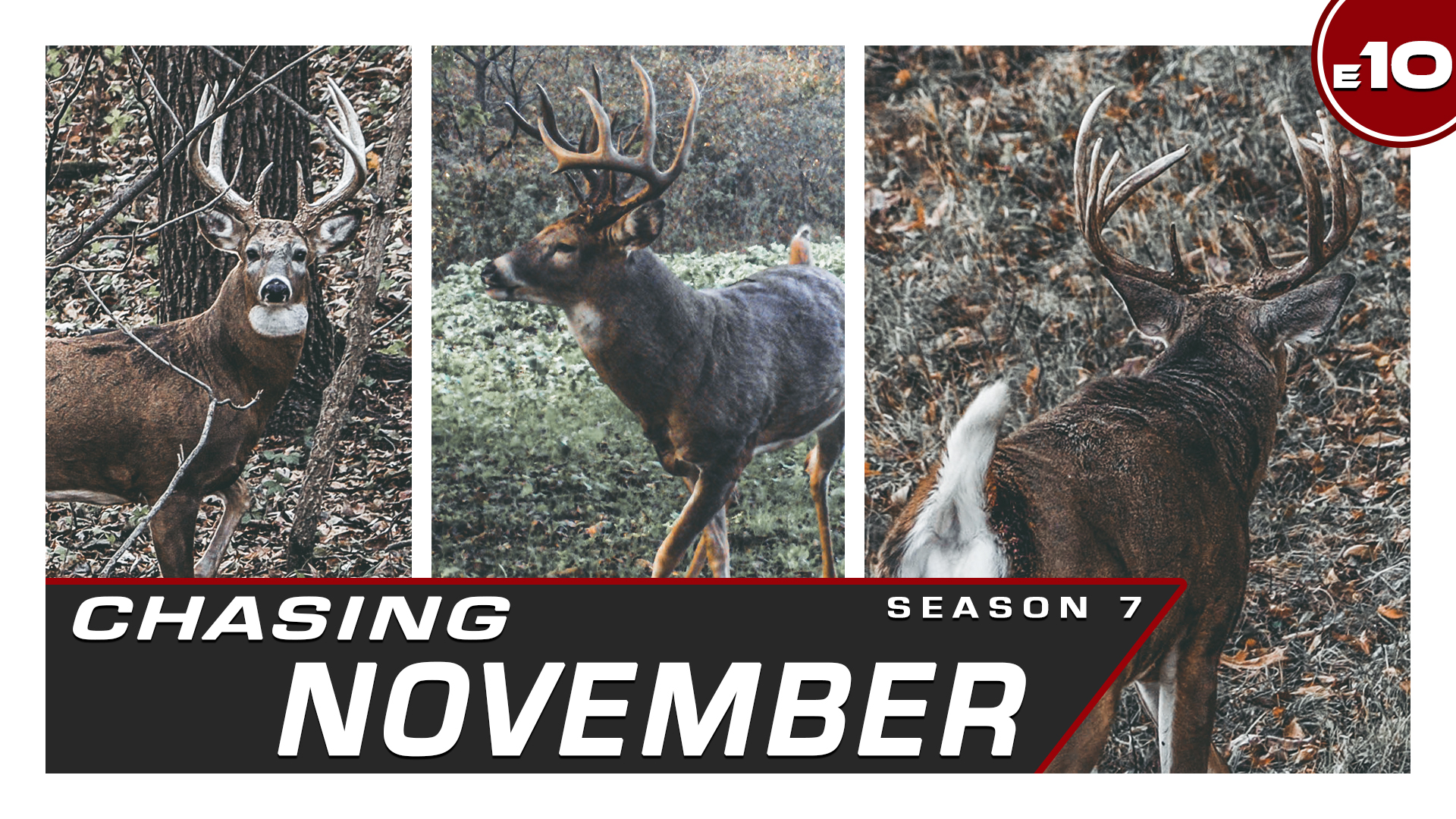 E10: November’s Grind, Continuing the Quest for Chubbs | CNS7