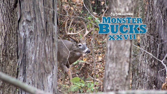 Krysten McDaniel's Indiana Monster Buck