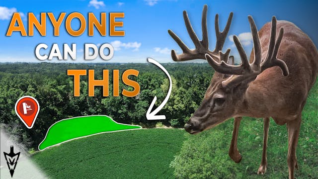 Food Plots Anyone Can Do, A Full Brea...