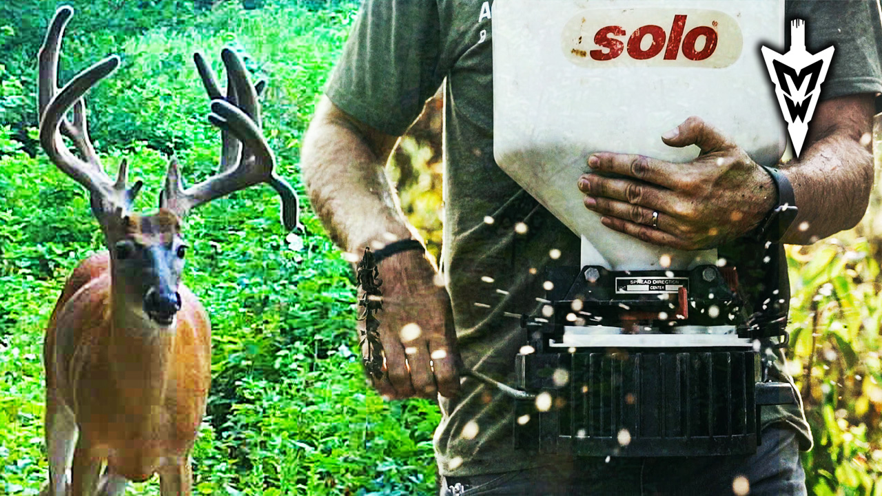 Poor Man Food Plots On Permission | Midwest Whitetail