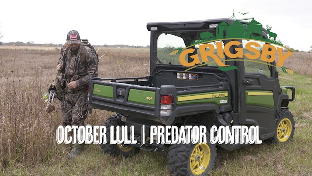 October Lull in Illinois? | Bowhunting Coyotes at the Grigsby | Grigsby