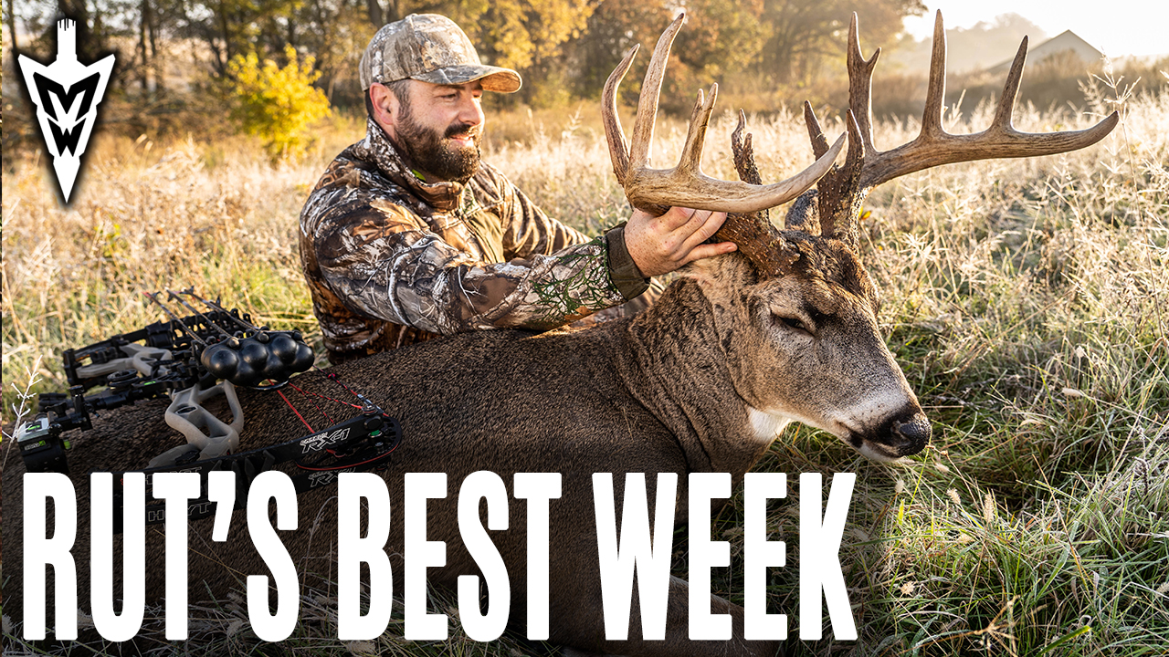 11-4-19: Rut's Best Week | Midwest Whitetail