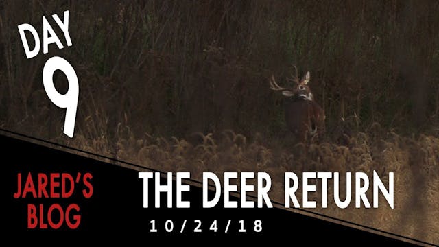 Jared's Blog: Deer Return After the F...