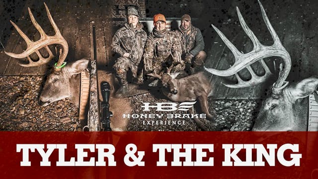 Tyler Jordan Hunts the King | Honey B...