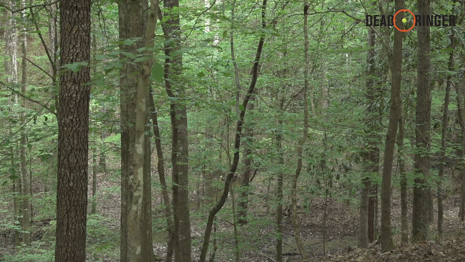 Incredible Mississippi Turkey Hunt | Hunting with Friends | Realtree Hunt United