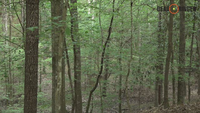 Incredible Mississippi Turkey Hunt | ...