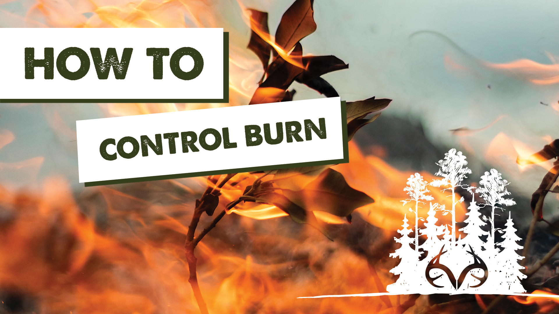 Prescribed Fire | How to Use Controlled Burns for Better Habitat | Pay Dirt