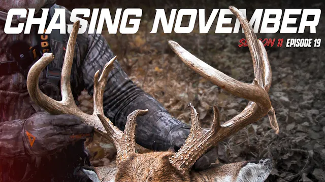 E19: Super Rare Buck Vocalizations, T...