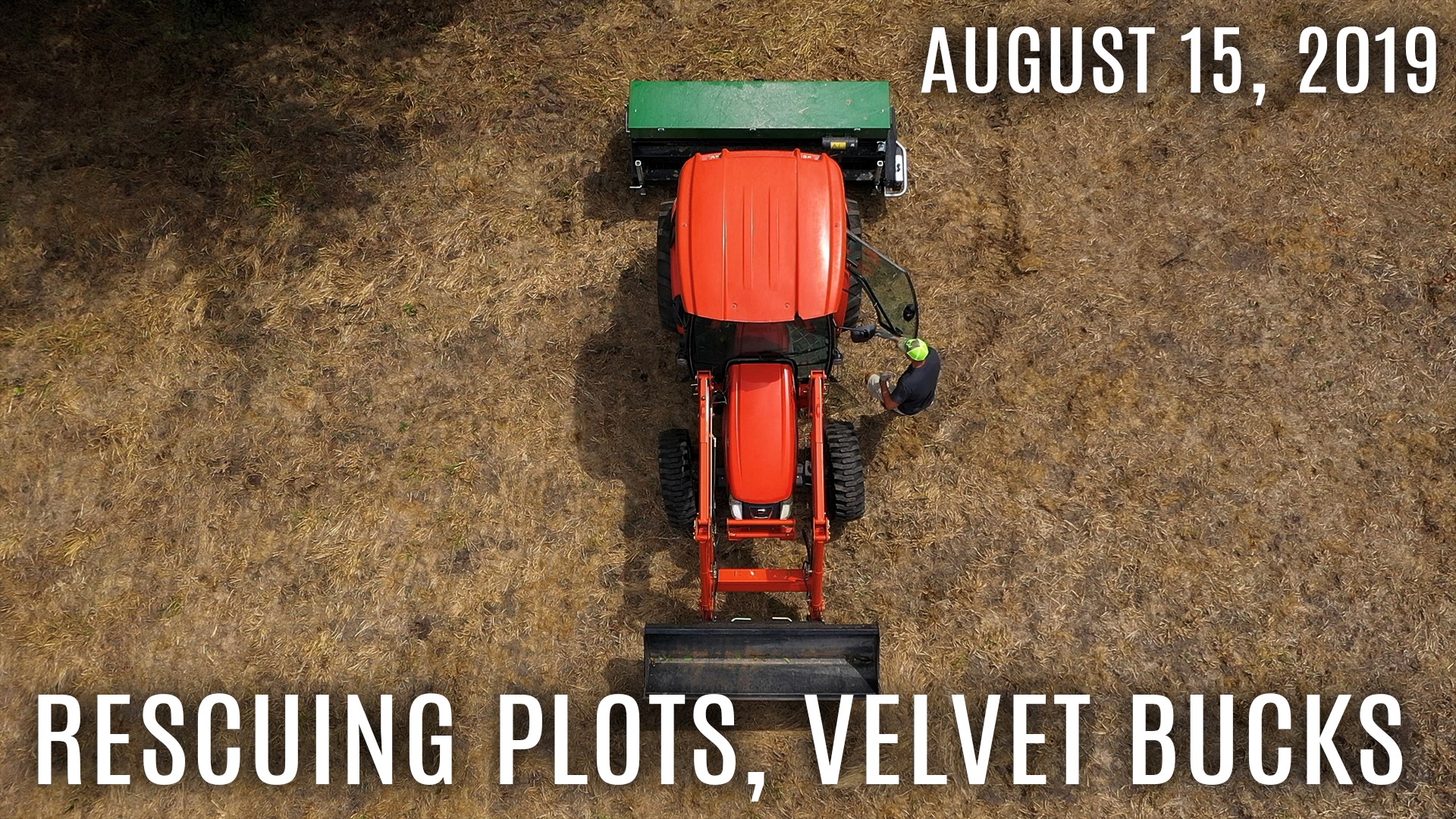 Winke's Blog: No-Till Food Plot Rescue, More Summer Bucks