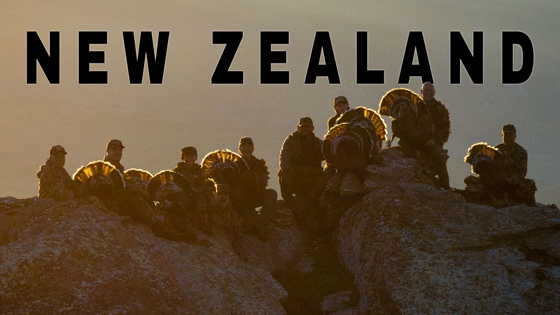 Turkey Hunting NEW ZEALAND | Invasive Species?