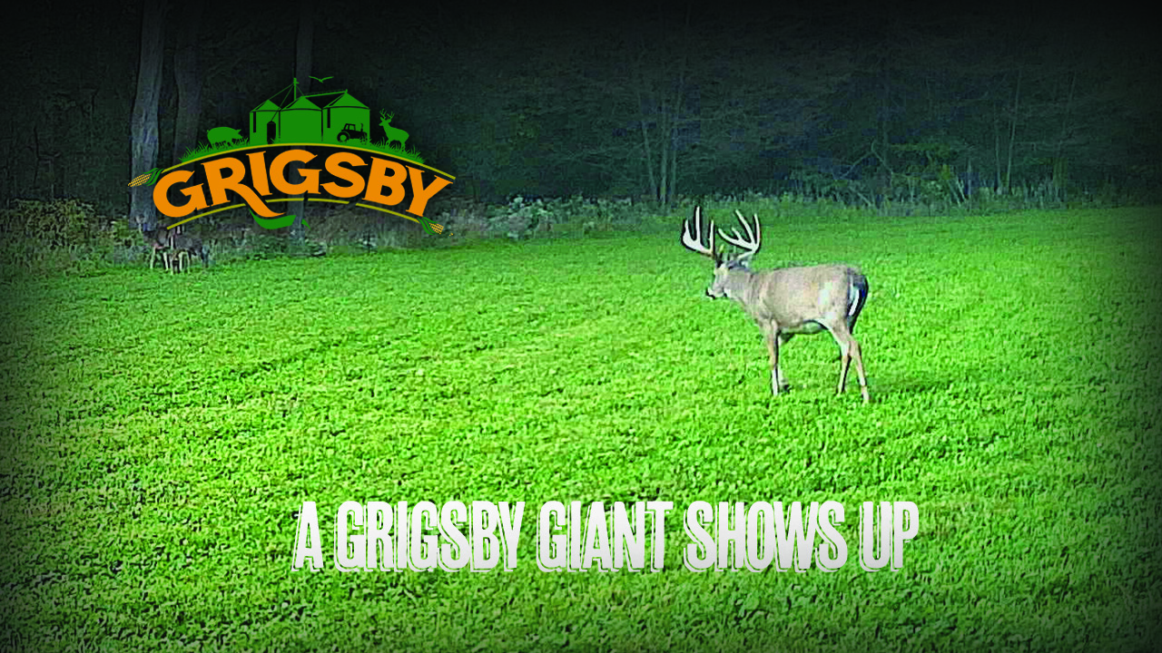 Spotting a Giant on the Way to the Stand | Illinois Deer Season Opener | Grigsby