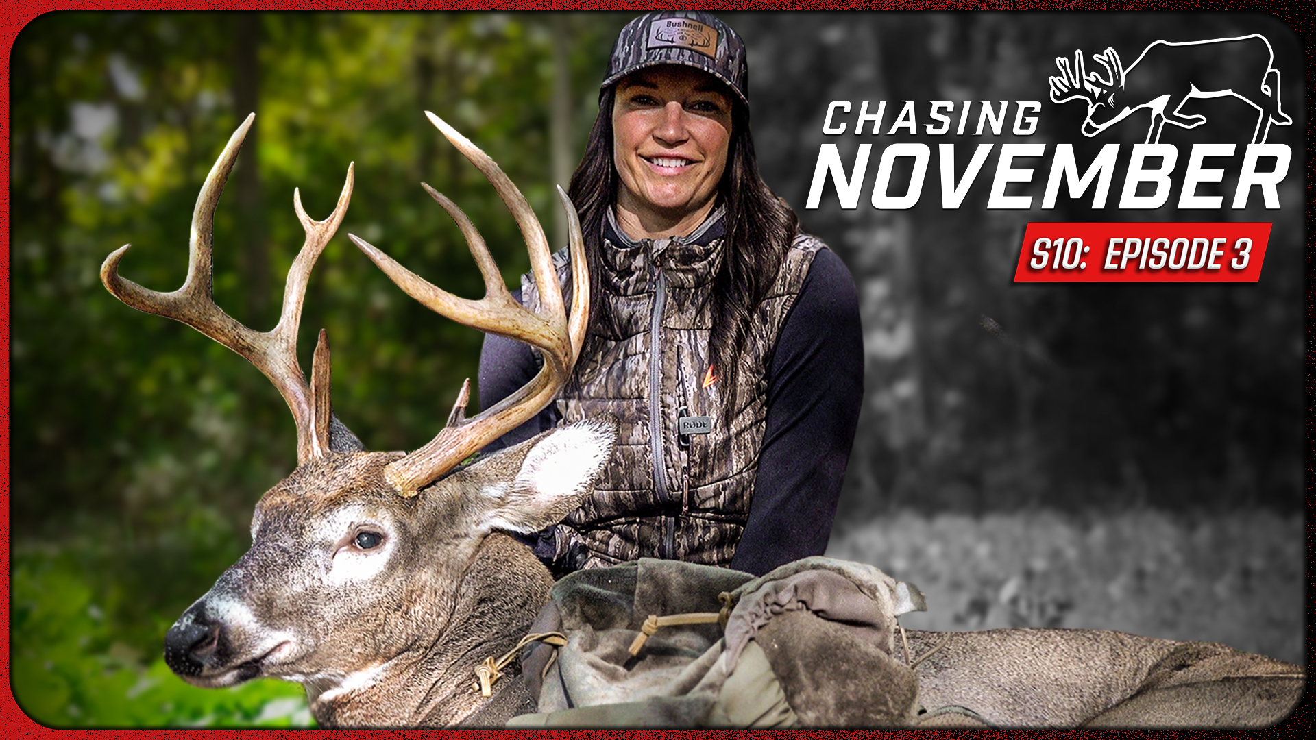 E3: Acorn Stud In New York, Buck Activity Explodes