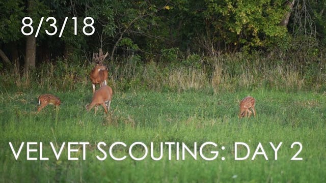 Winke's Blog: Velvet Scouting Day 2