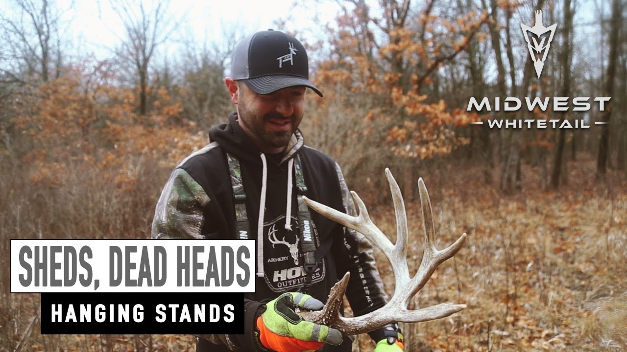 3-19-18: Shed Antlers, Hanging Stands | Midwest Whitetail