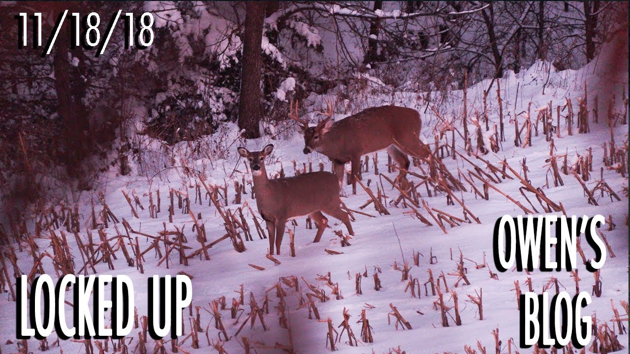 Owen's Blog: Lock Down Period