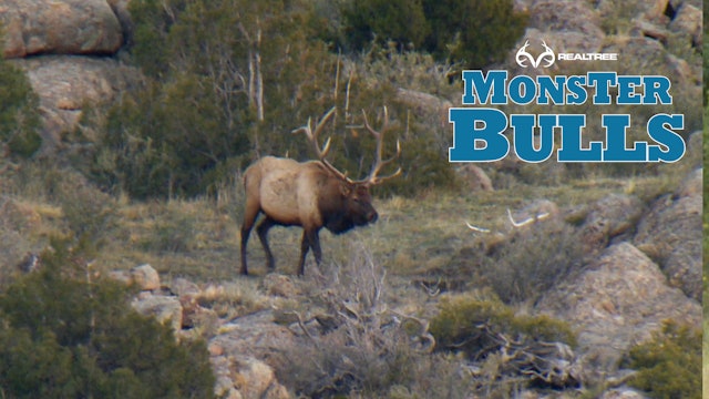Post Rut Monster | Bill Jordan Hunts Wyoming