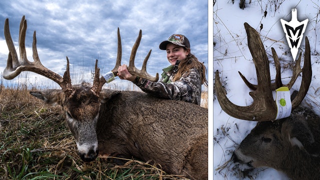 Two Massive Late Season Studs, Bella's Biggest Buck | Midwest Whitetail