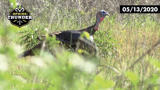 Chasing Henned-Up Gobblers? Hunt Them in the Afternoon | Realtree Spring Thunder