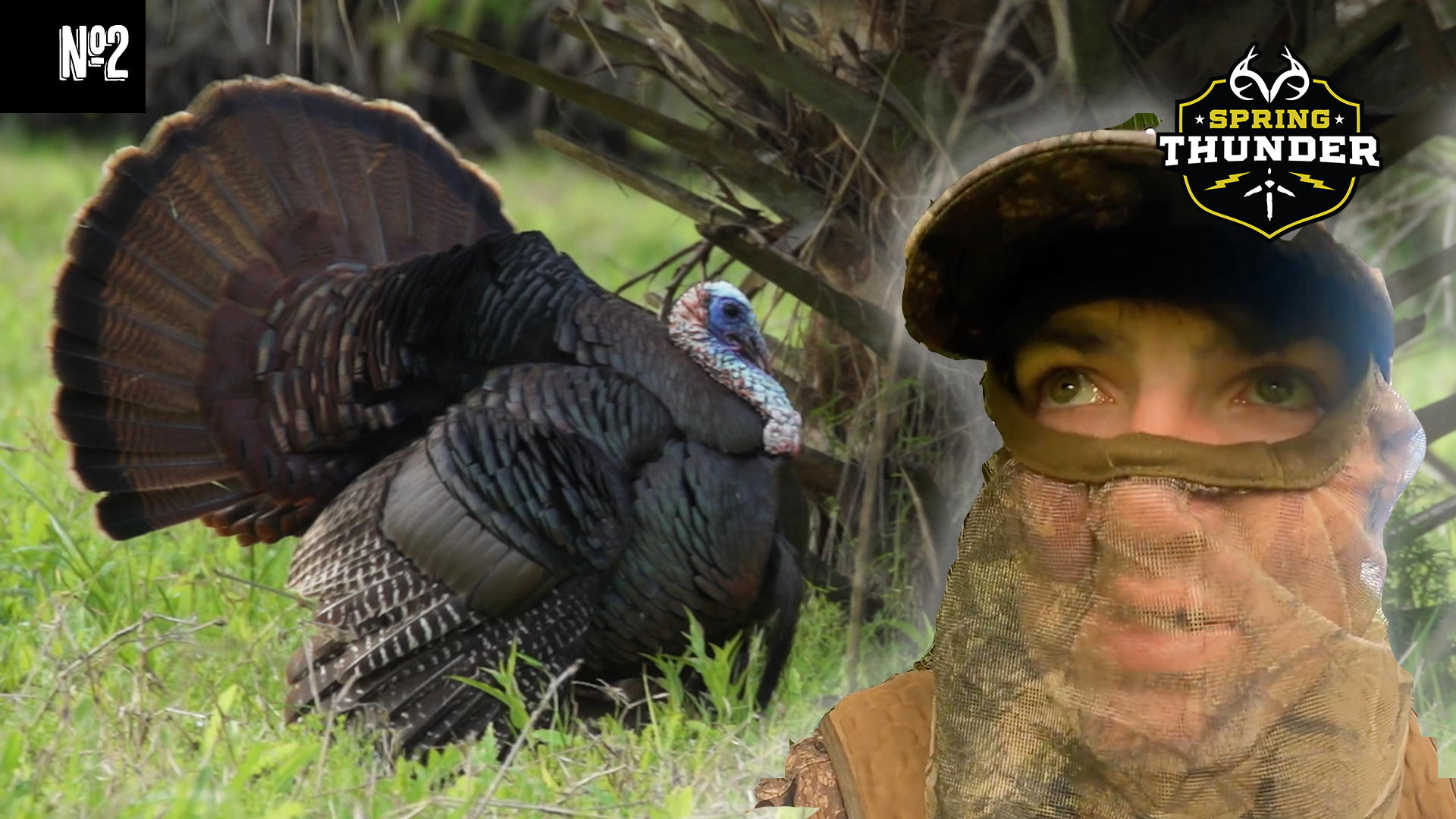 Steamrolled Osceola Strutter | Crazy Florida Afternoon Hunt | Spring Thunder